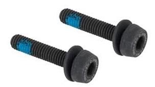CAMPAGNOLO Vijak 2x29mm (2 kos)