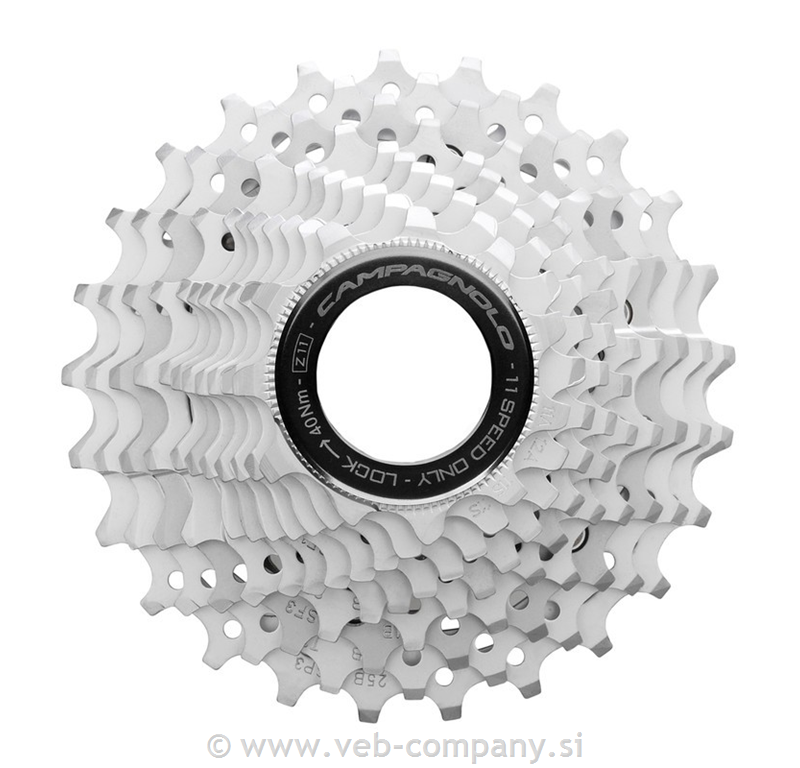 Zobnik CAMPAGNOLO Chorus