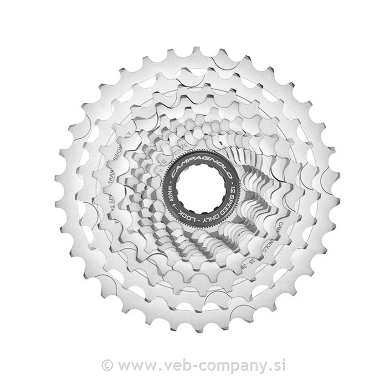 Zobnik CAMPAGNOLO Chorus