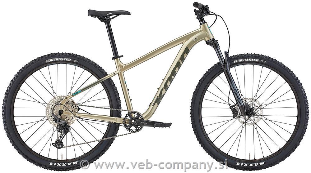 HARDTAIL